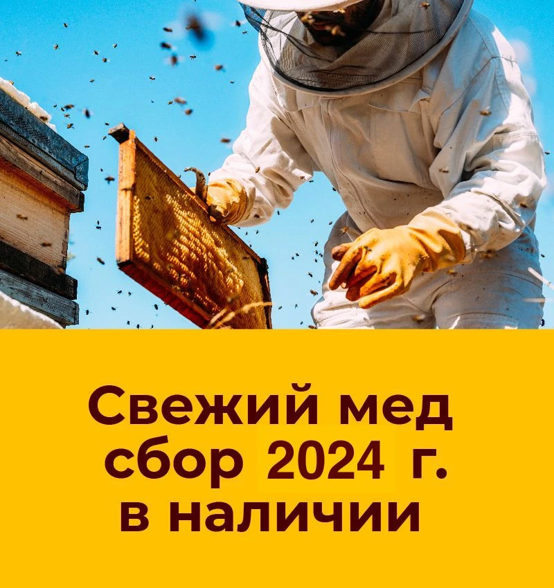 Свежий мед сбор 2023