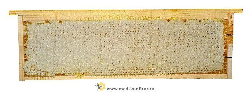 Мёд в сотах акациевый (белой) башкирский (проставлять количество рамок) в рамке от 1,5 до 2 кг