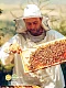 Мёд лесной с бугельным замком 250 гр