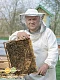 Мёд расторопшевый в пластиковой банке Вкус Жизни New 300 гр. 