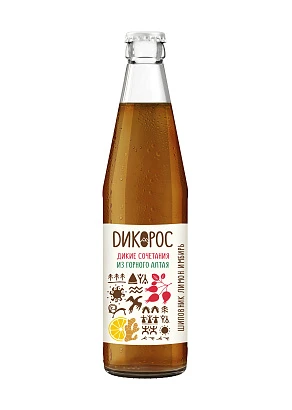 Напиток среднегазированный Шиповник-лимон-имбирь Дикорос 500 мл 